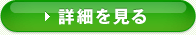 詳細を見る