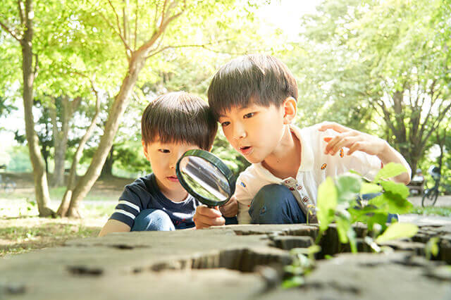 夏休み自由研究ネタ【防災グッズ】