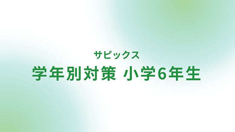 SAPIX 6年 算数 WS、SS、直前期、分野別、SSWA、フルセット 1年分1年分