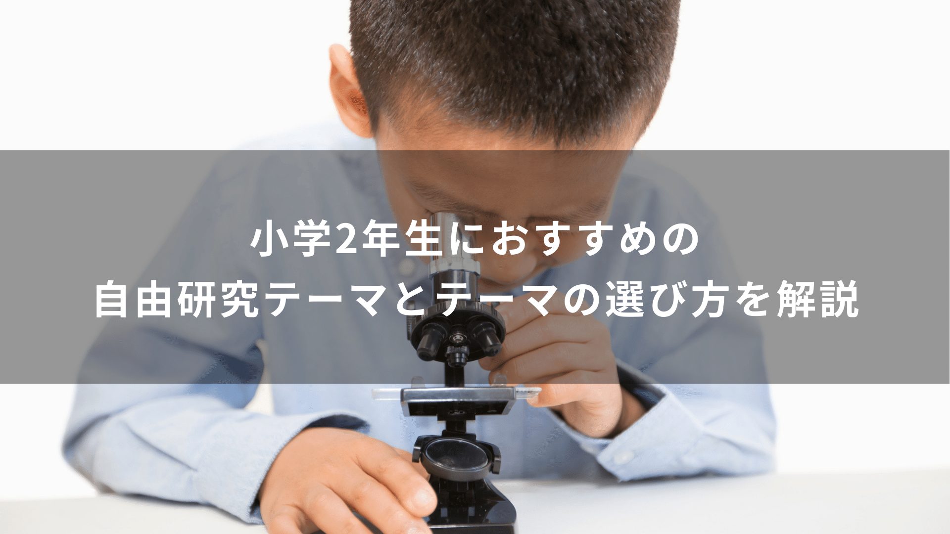 小学2年生におすすめの自由研究テーマとテーマの選び方を解説