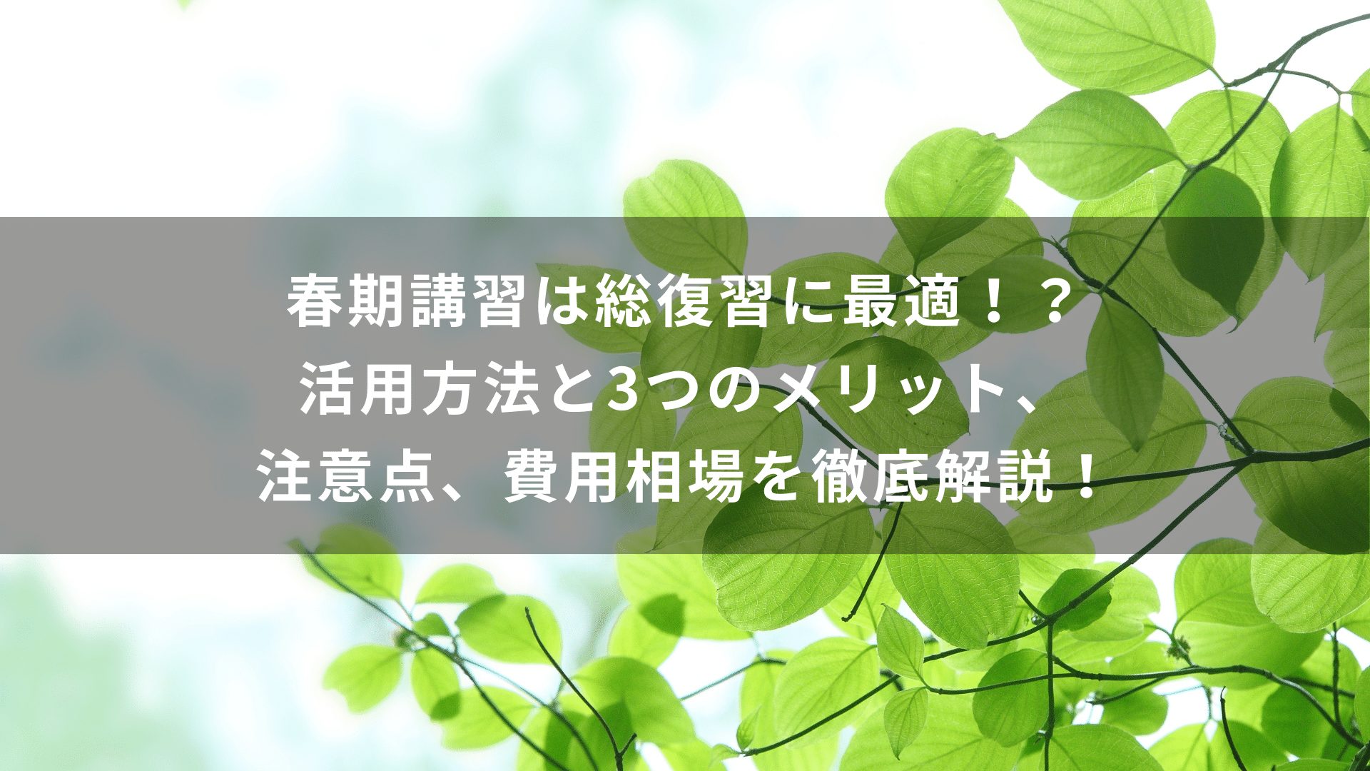 春期講習は総復習に最適！？活用方法と3つのメリット、注意点、費用相場を徹底解説！