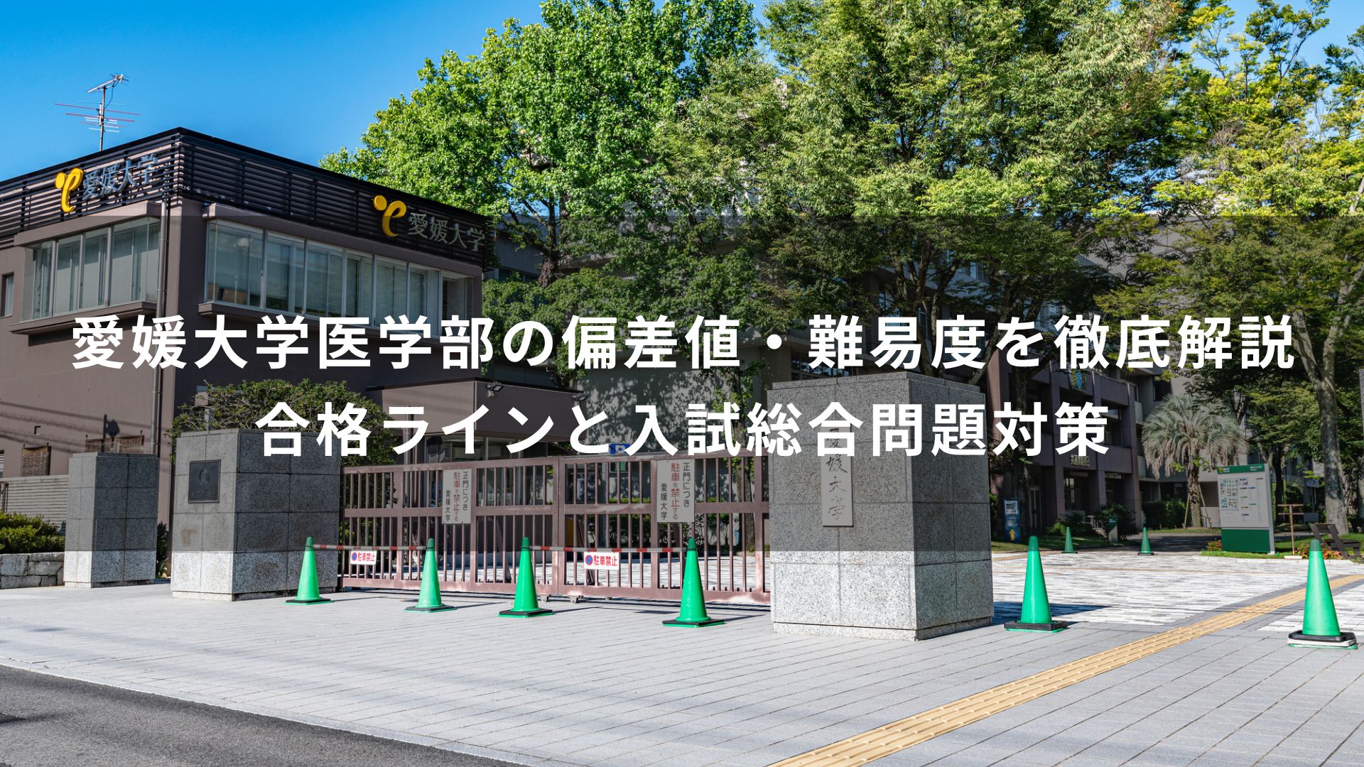 愛媛大学医学部の偏差値・難易度を徹底解説｜合格ラインと入試総合問題 