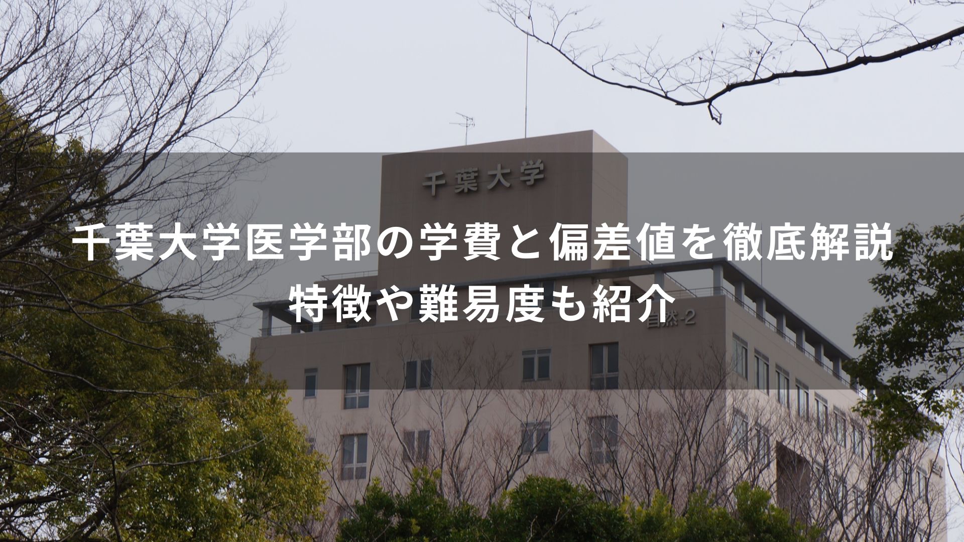 全国 81 医学部 序列マップ