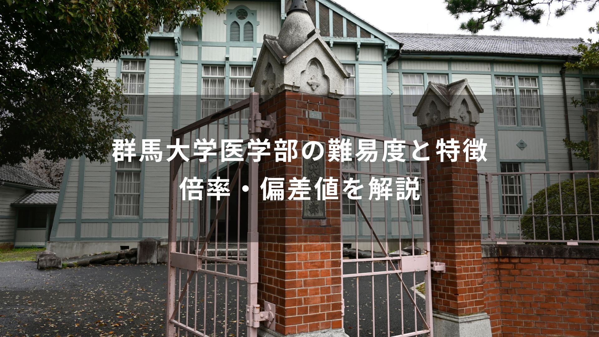 群馬 大学 医学部 偏差 値