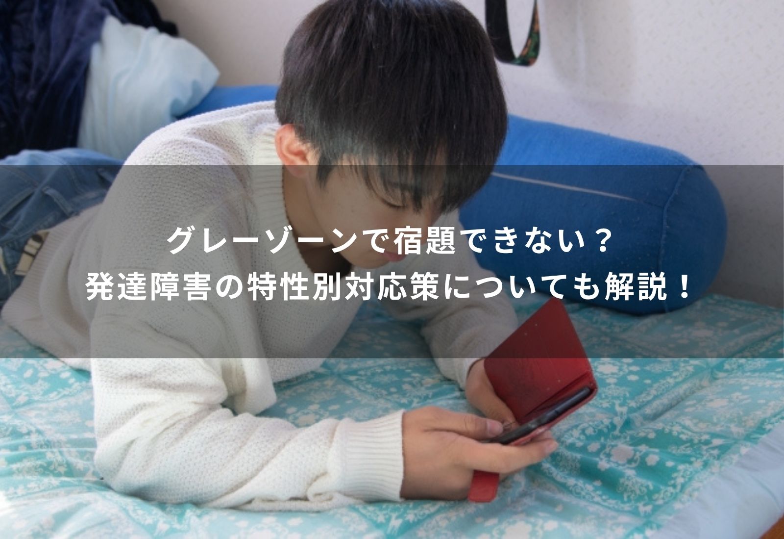 グレーゾーン　宿題　できない