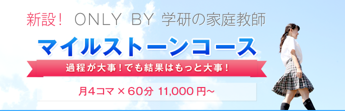 マイルストーンコース