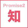 Promise2 知
